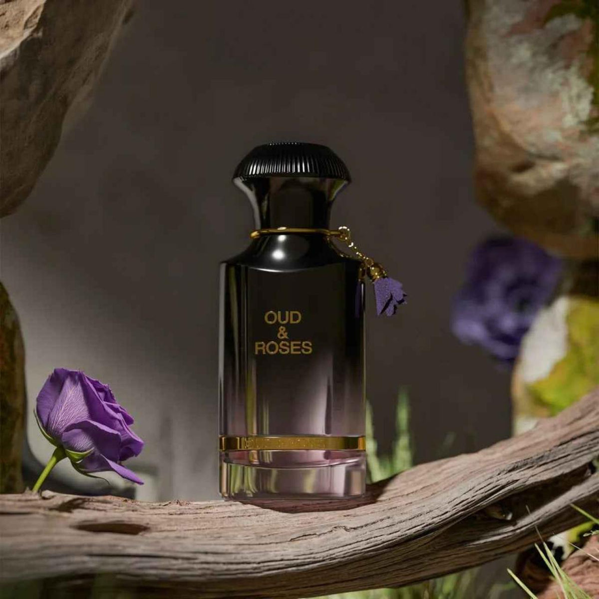 Ahmed Al Maghribi Oud & Roses Eau de Parfum.